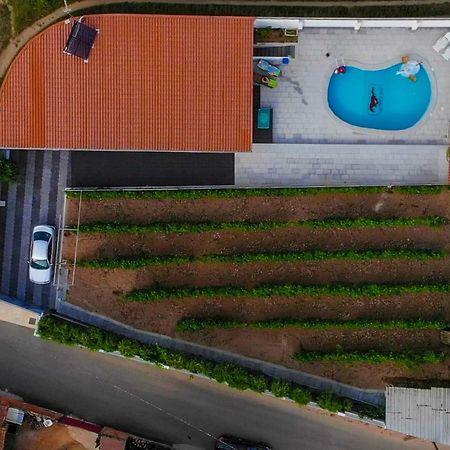 Casinha Das Bonecas - Casa Com Piscina Privada アヴェイロ エクステリア 写真