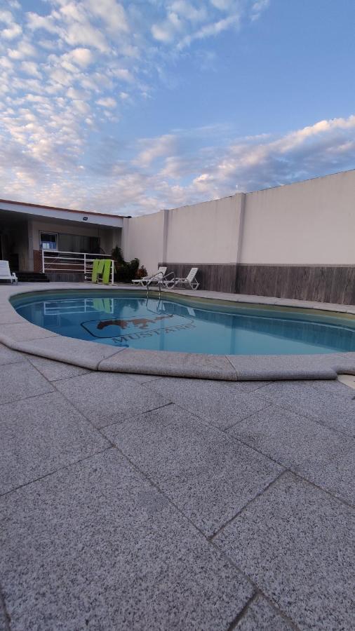 Casinha Das Bonecas - Casa Com Piscina Privada アヴェイロ エクステリア 写真